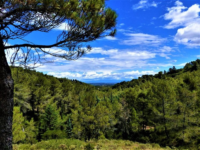 Vue sur le vallon de Valmouirane