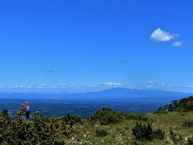 Vue le Mont-Ventoux