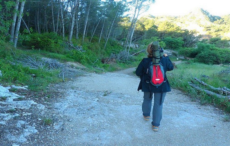 À la découverte des oiseaux