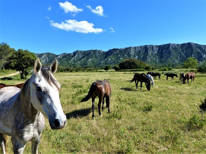 Vue sur le Pas de l'Aigle