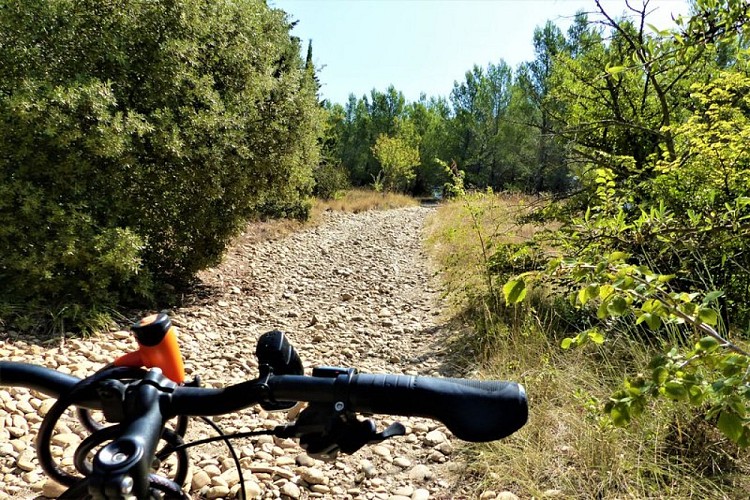 Entre Eyragues et Noves