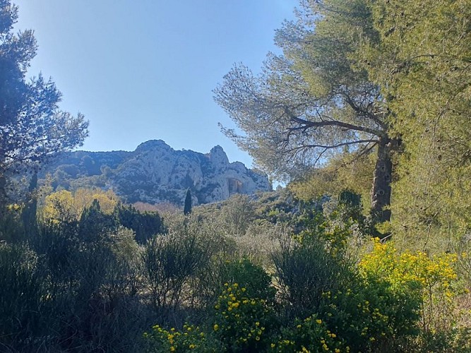 Ouverture sur le paysage