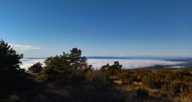 Vue vers l'ouest du Cluyer