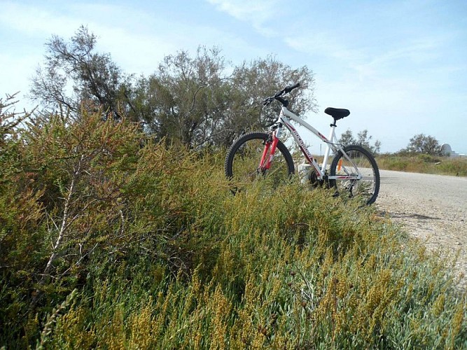 A vélo sur la route de Cacharel