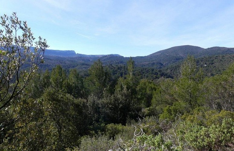 La descente par le Chambeyron
