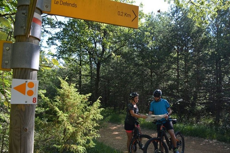 Le Bois du Défends à VTT