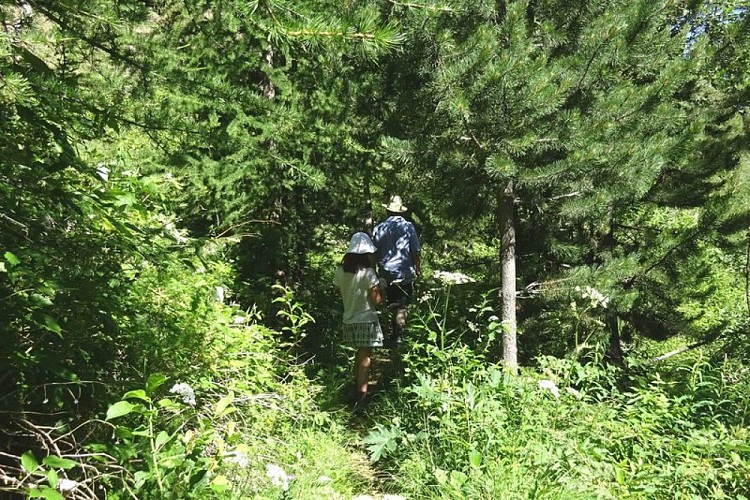 Promeneurs sur le sentier botanique