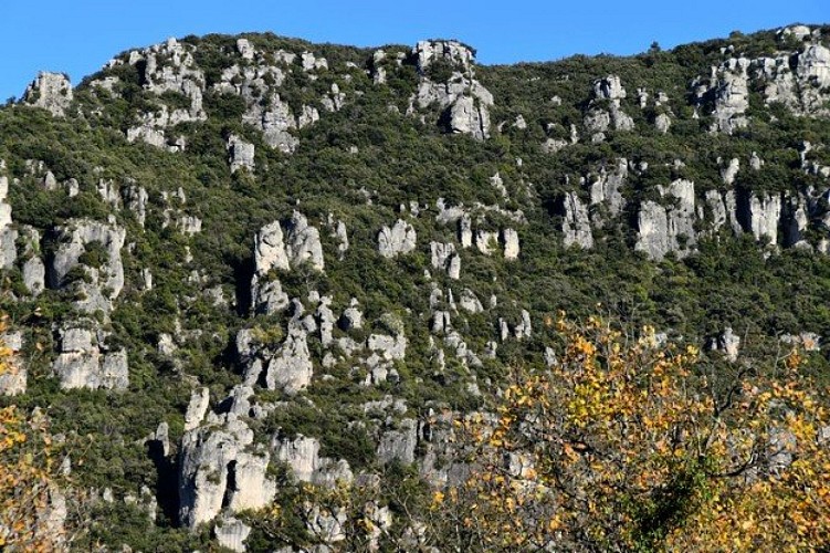 Rochers des Friginiaires