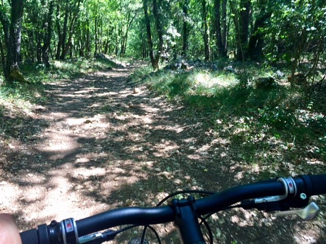 Chemin roulant du parcours