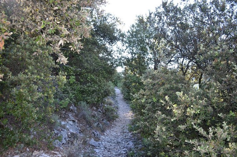 ST-LEGER-DU-VENTOUX - Patrimoine géologique et historique