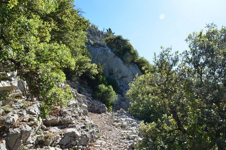 ST-LEGER-DU-VENTOUX - Patrimoine géologique et historique