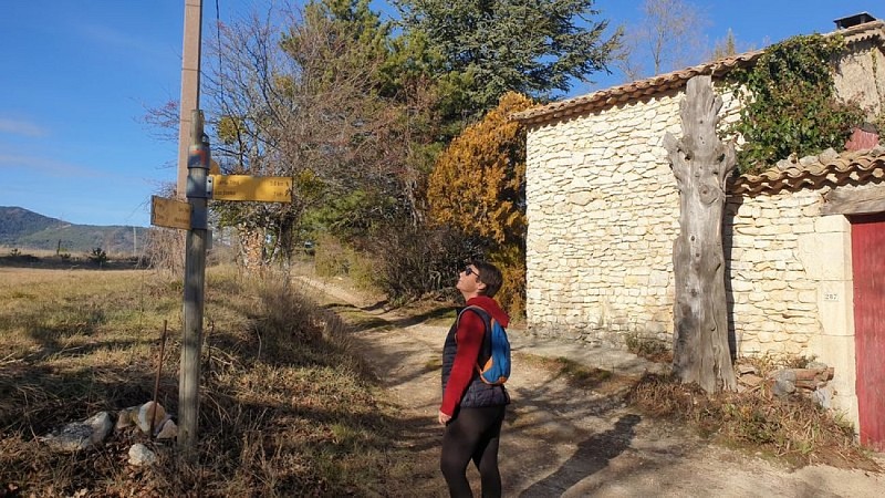 ST-TRINIT – Les chênes séculaires des bois de la Caviote