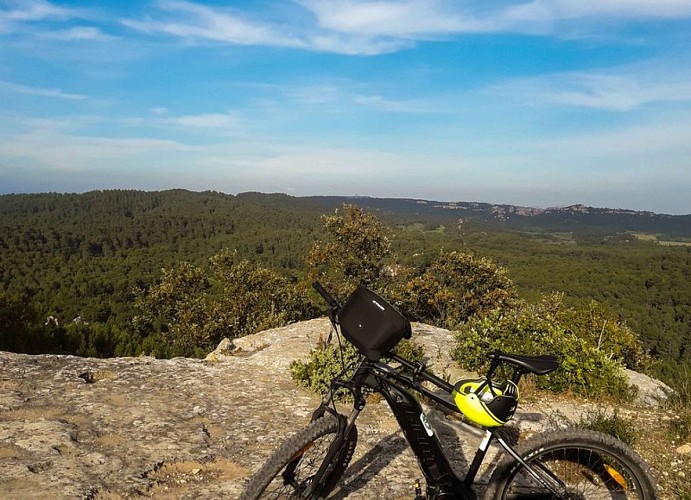 Panorama sur la pinède depuis les hauteurs du Vallon de la Lèque