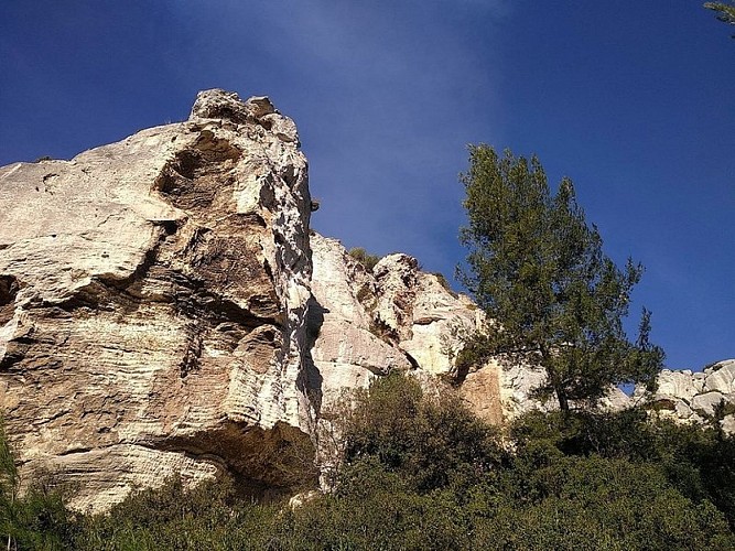 TARASCON – La forêt méditerranéenne à VTT