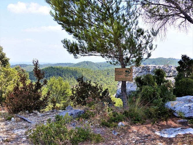 Aux abords du vallon de la Lèque