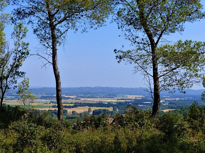 Vue sur la Montagnette