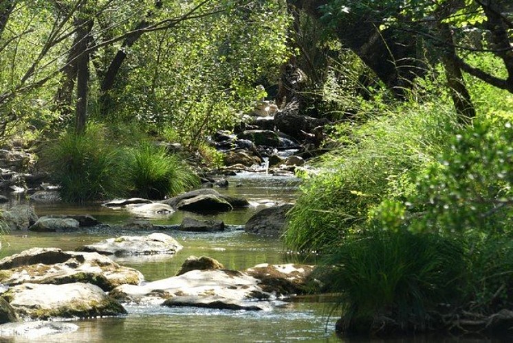 Les gorges du Caramy
