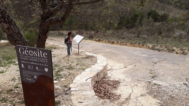 Dalle à empreintes fossilisées de Viens