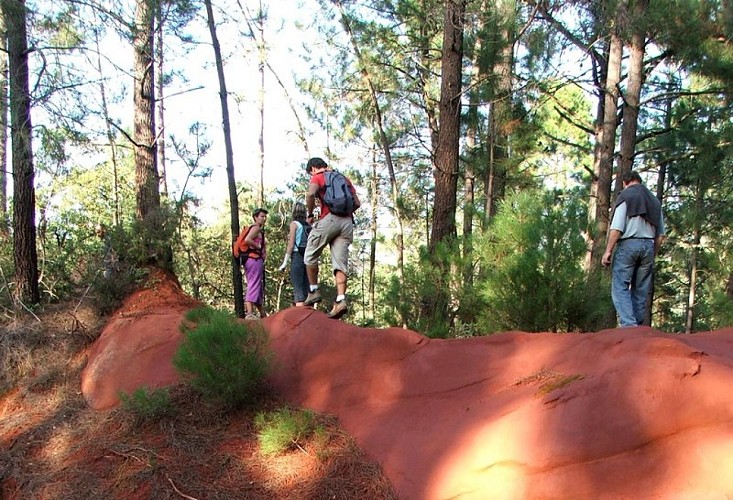 En chemin sur La Bruyère (GR®)