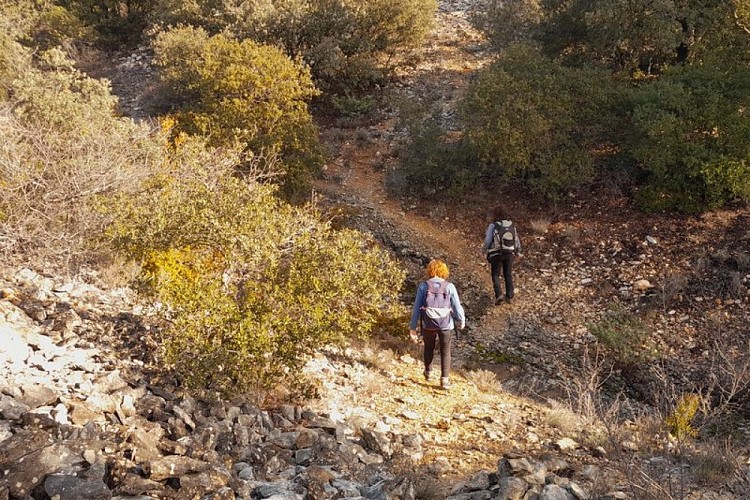 Sentier du vallon Counet