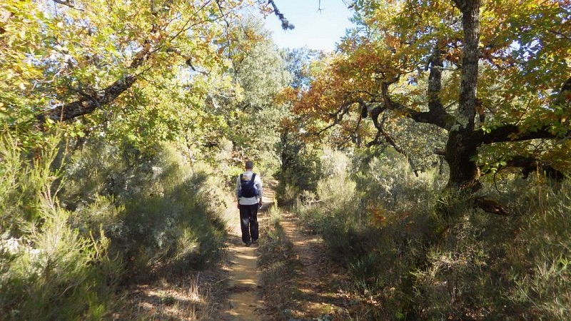 Sur le sentier GR® en crête