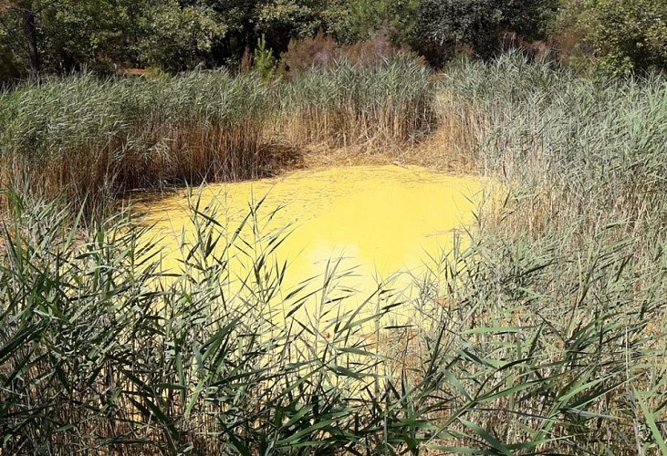 Mare du Trou des Américains