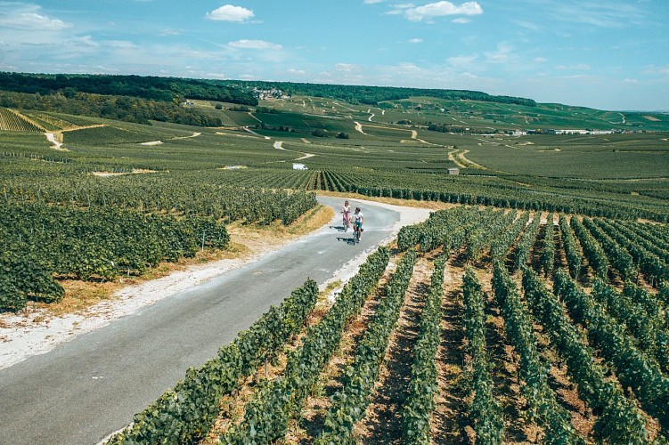 Vélo dans les vignes - Hautvillers 