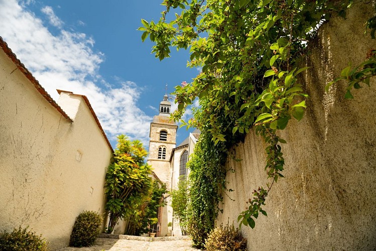 Hautvillers - abbaye 