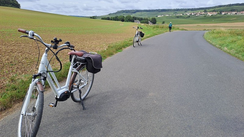 Vélos dans les vignes - Romery