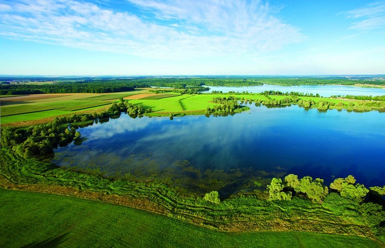 Lac du Der