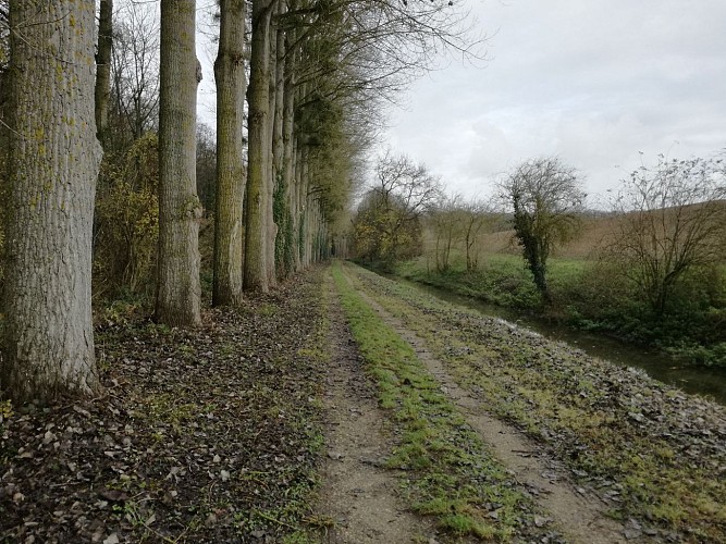 From the Ourcq to the Montceaux Forest