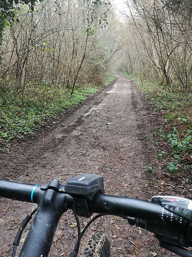 de l'Ourcq à la forêt de Montceaux