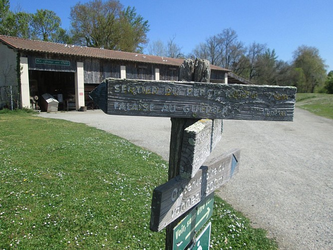 La balade aux oiseaux