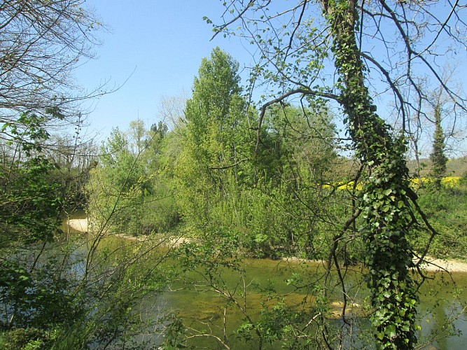 La balade aux oiseaux