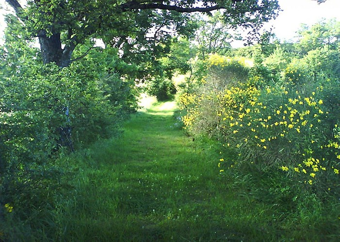 Saint Martin d’Oydes - boucle 2 - par la D27