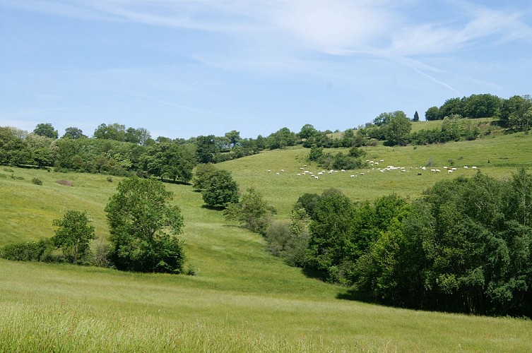 vue chaine des pyrenees