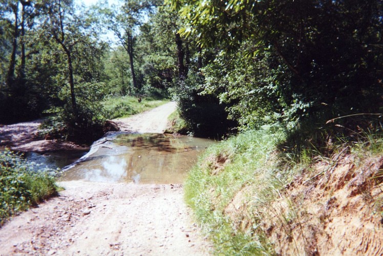 Sentier des coteaux - boucle 1 - par le chemin de Castelmacart