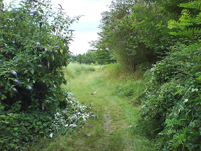 Sentier des coteaux - boucle 1 - par le chemin de Castelmacart