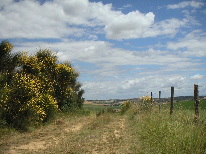 Le sentier de Gaudiès