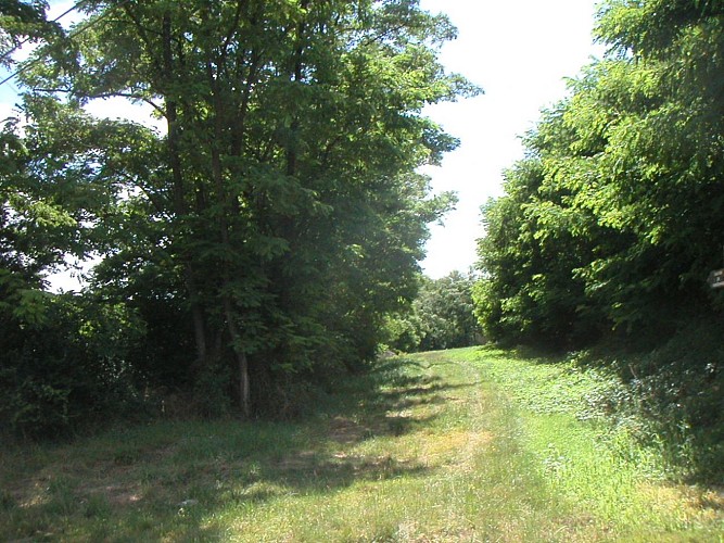 Le sentier de Gaudiès