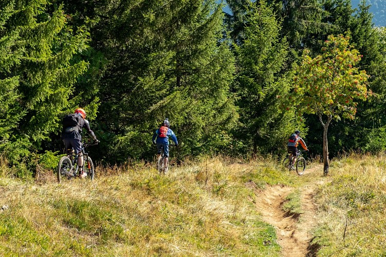 Le Grand Crêt - Mountain biking_Samoëns