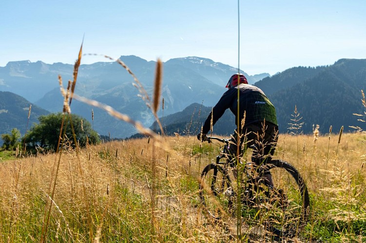 Le Grand Crêt - Mountainbiken_Samoëns