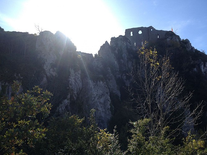 Les Orris et le château de Roquefixade