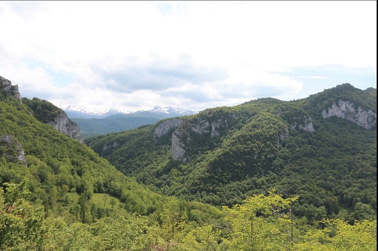 Les Gorges de Péreille