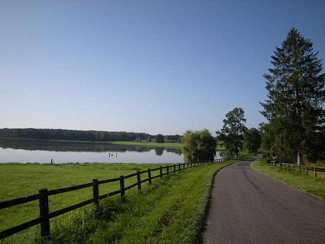 Etang de Chèvres à Vandenesse