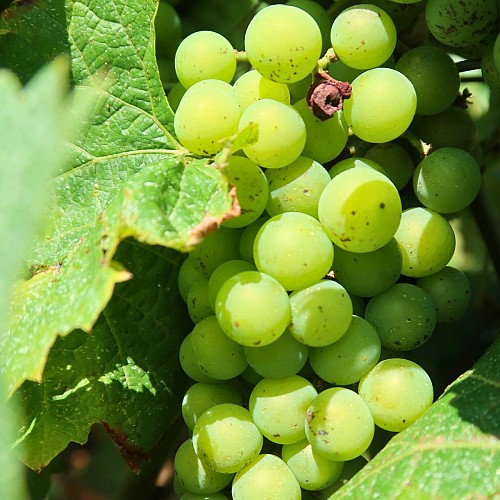 recadrage photos rando - 31