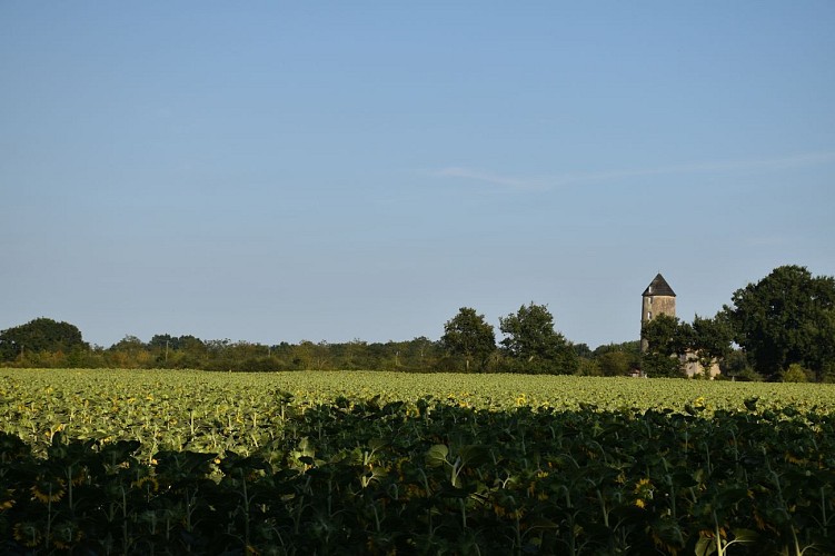 Paysage à La Genétouze
