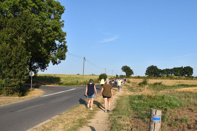 Balade entre deux rives sur le sentier