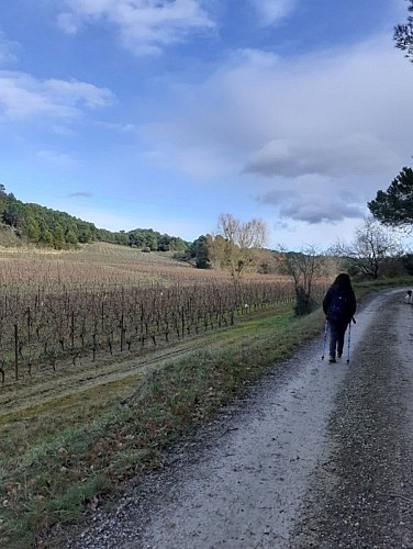 Péiras e Vinhas - tronçon TransEquestre d'Artagnan