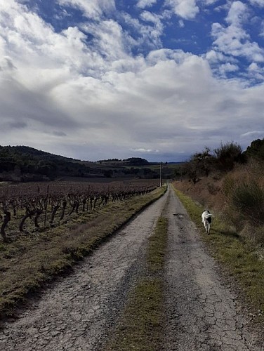 Péiras e Vinhas - tronçon TransEquestre d'Artagnan